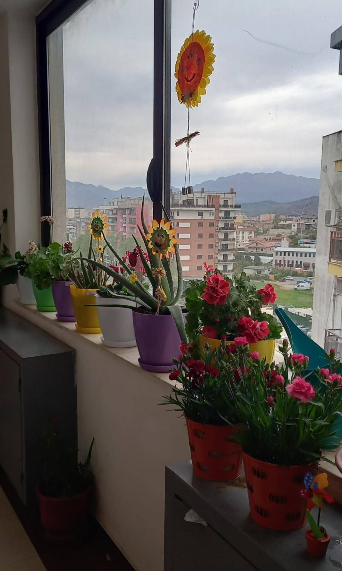 Panoramic Apartment Shkodër Buitenkant foto